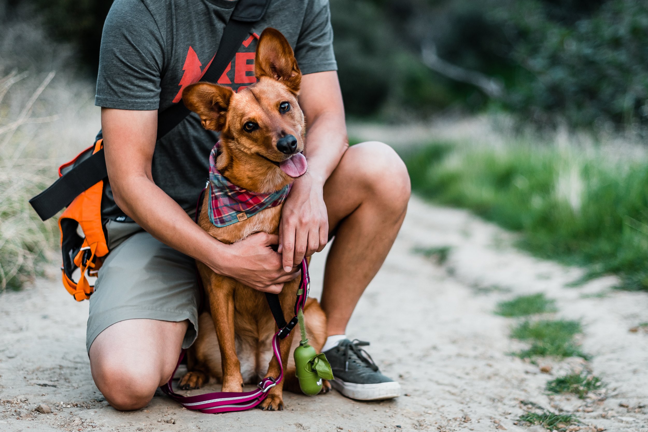 A person wearing gray shorts and a dark gray t-shirt with a red graphic is kneeling on the ground, holding a brown dog with a plaid bandana around its neck. The dog is sitting with its tongue out in a wooded area with greenery in the background.