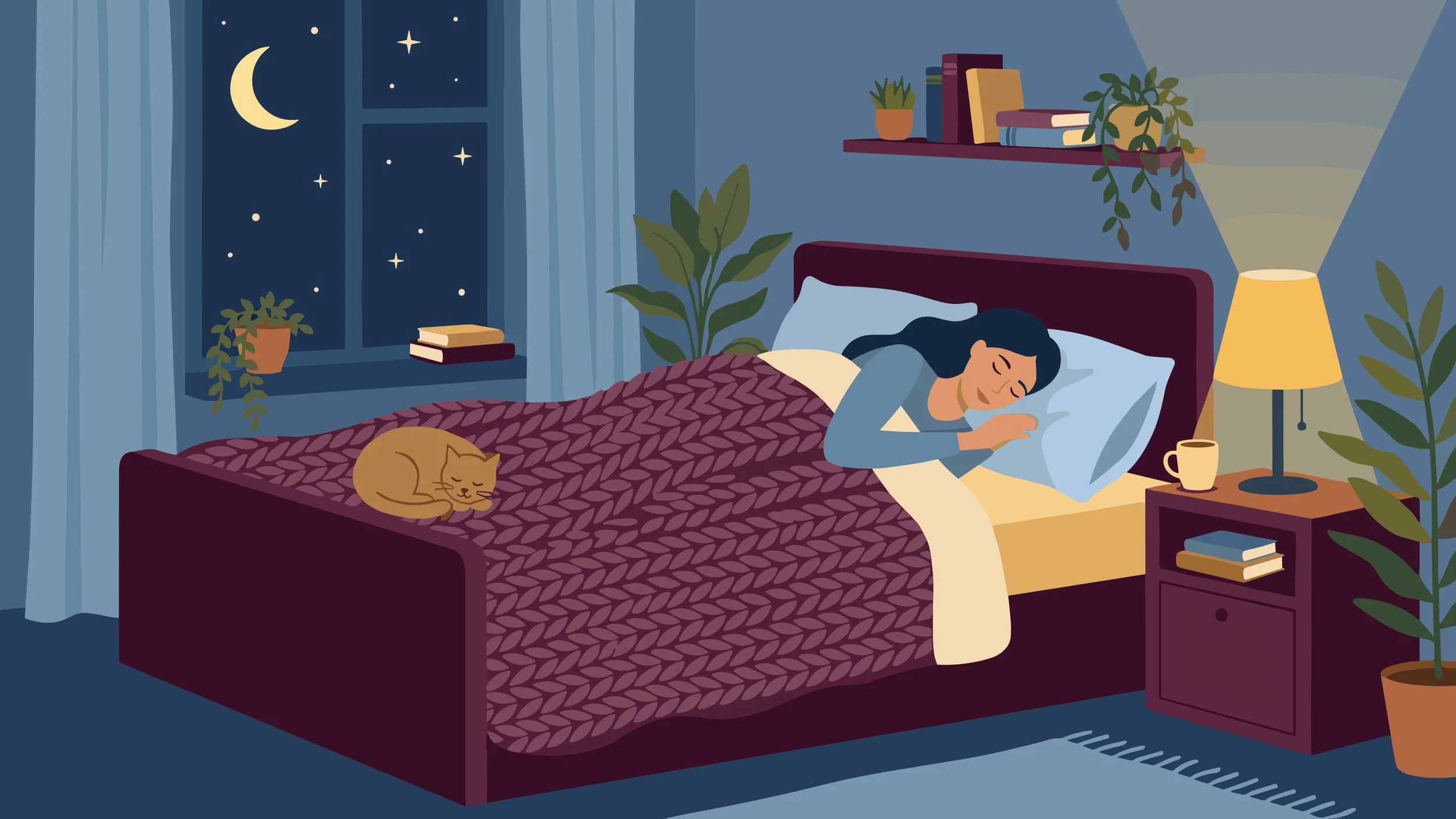 A woman sleeping in bed with a cat curled up beside her, in a bedroom at night with a moon and stars outside the window.