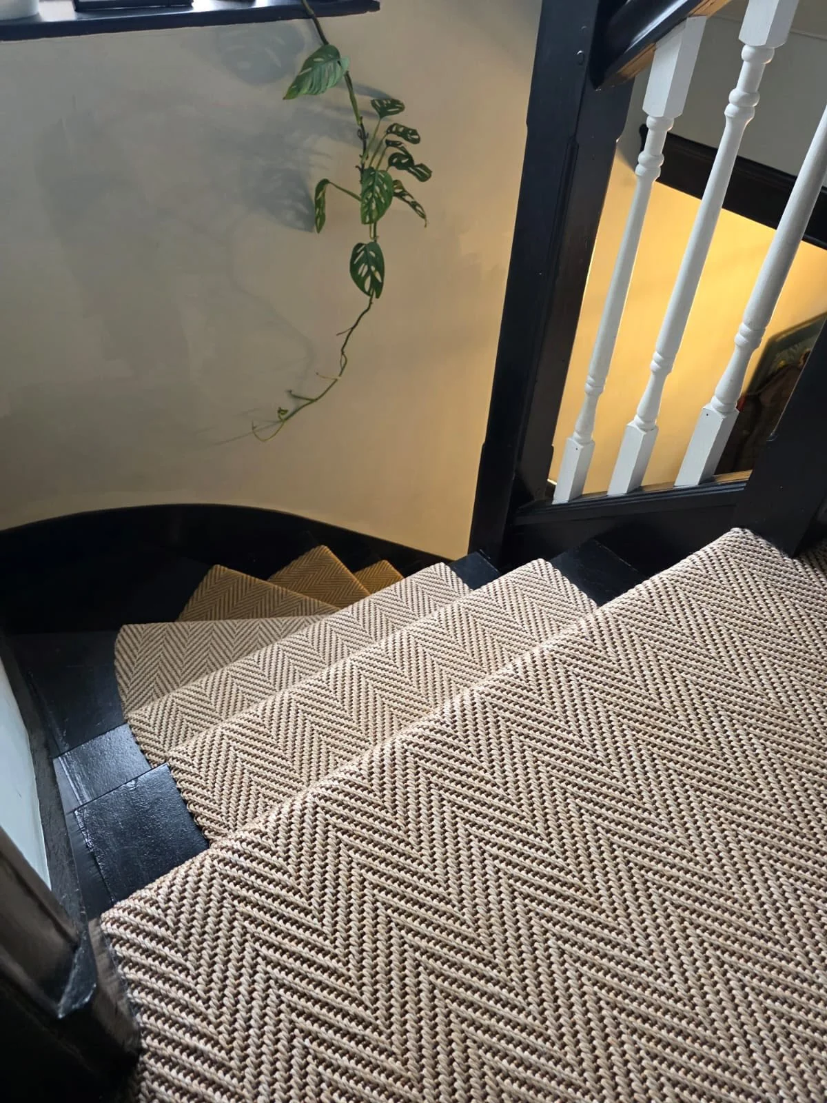 Steep staircase with patterned beige and brown carpets, black wooden side, white spindled railing, and a green potted plant on a beige wall.
