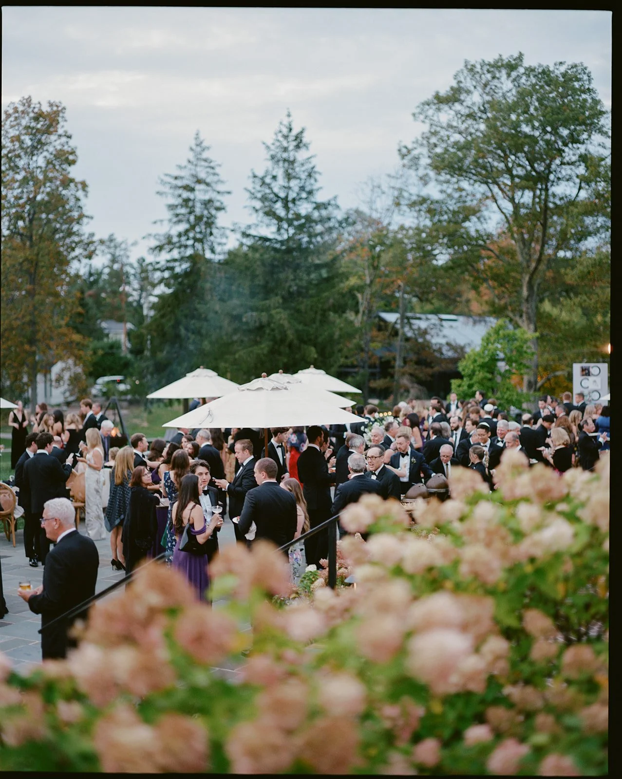 A large outdoor social event with people dressed in formal attire, mingling under white umbrellas with a backdrop of trees and a cloudy sky.