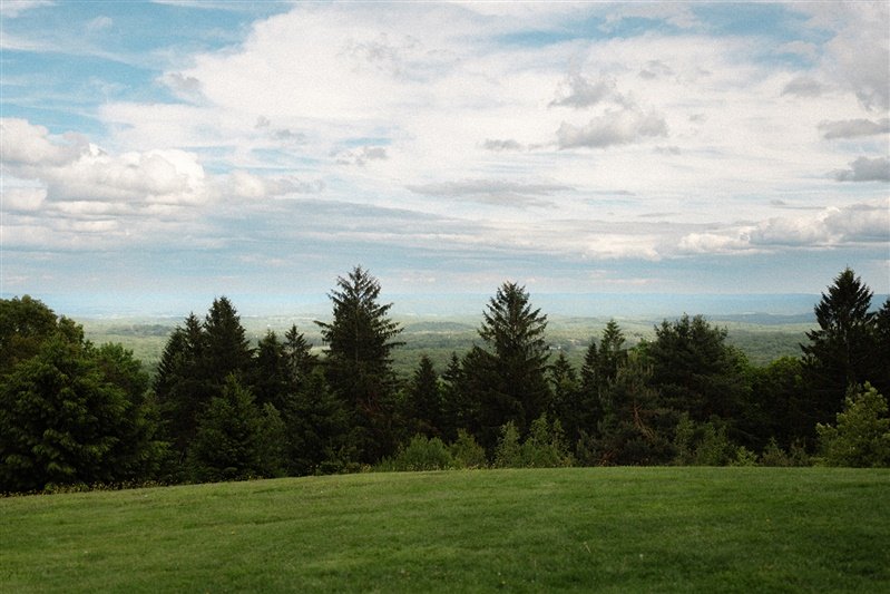 A landscape view of a grassy field with a forest of evergreen trees under a partly cloudy sky.