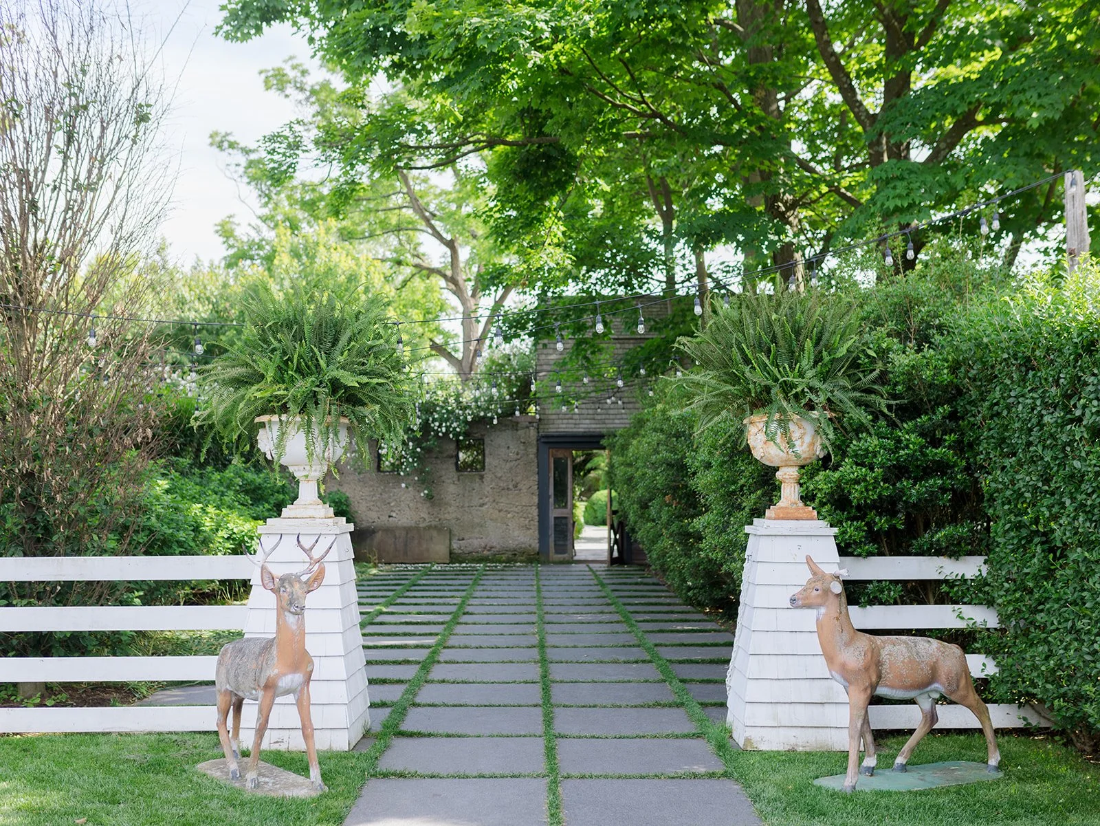 A garden pathway with two deer statues on either side, each topped with large planters filled with lush green ferns. There is a white wooden fence, trees and shrubs, and a string of outdoor lights hanging overhead, leading to a wooden gate.