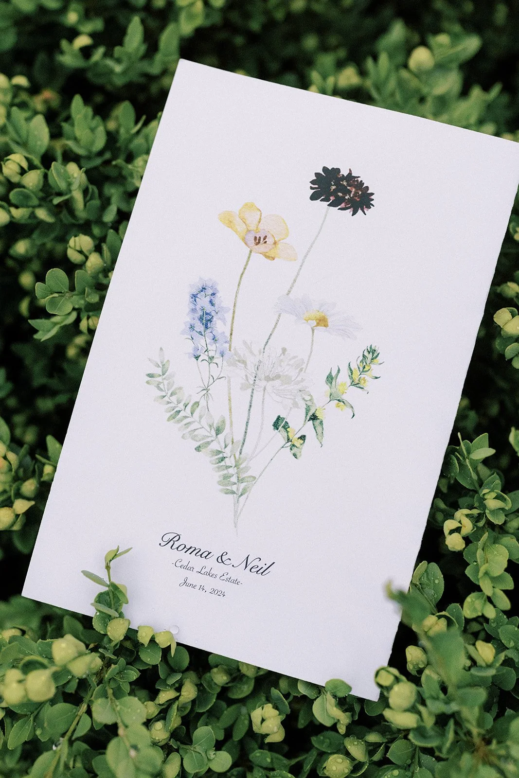A floral wedding invitation card with watercolor illustrations of various flowers, resting on green shrubbery. The card displays the names Roma and Neil, due date June 14, 2024, and location Cedar Lakes Estate.