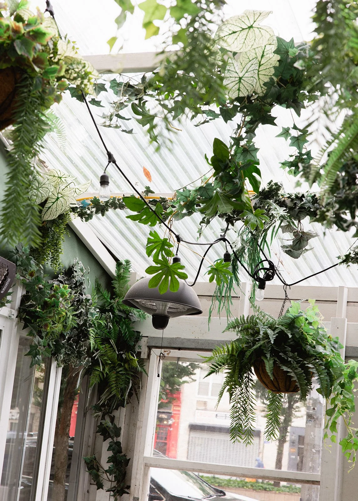 Indoor sunroom with hanging and potted plants, string lights, and a TV, with a city view outside the window.
