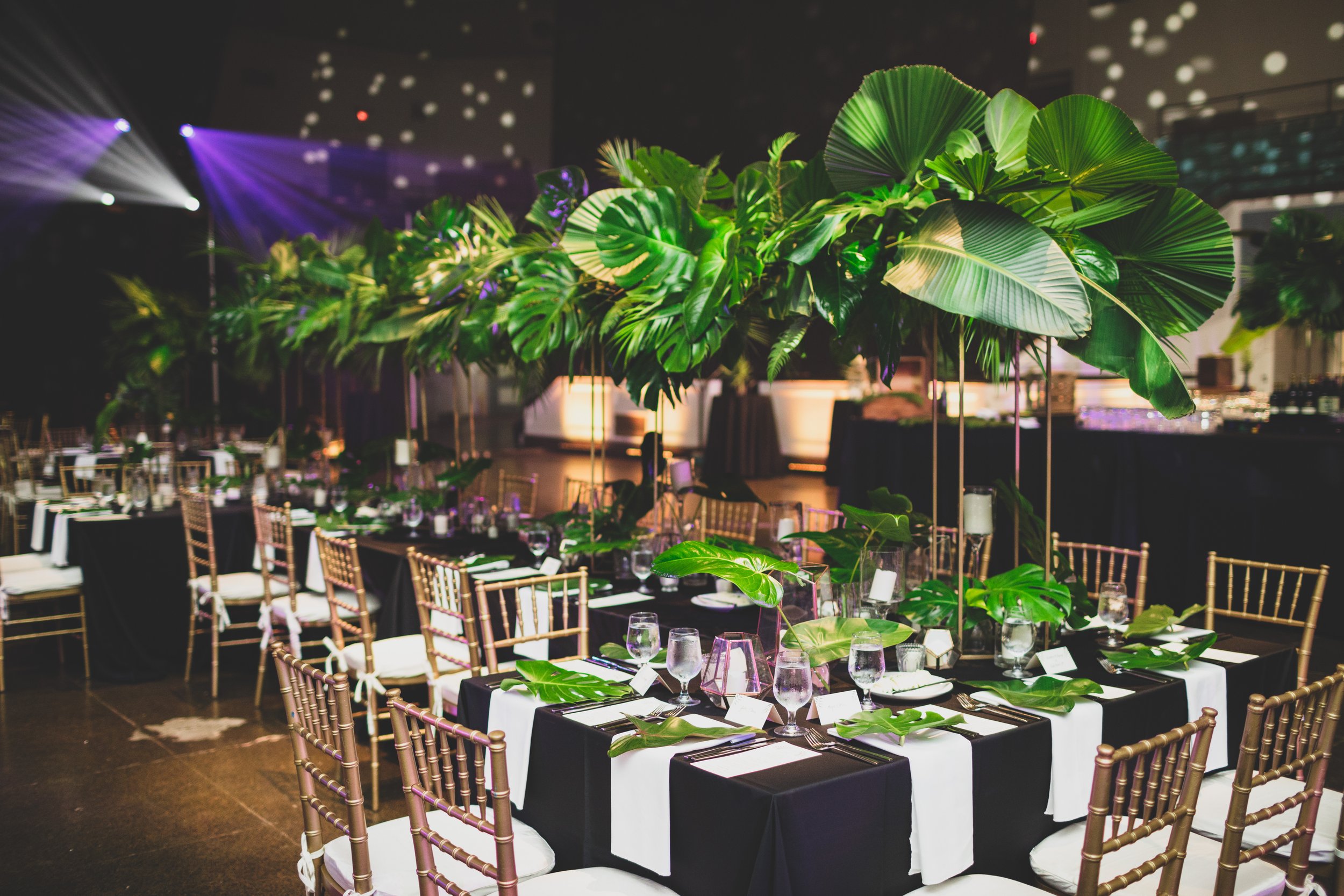 Elegant banquet hall decorated with lush tropical green plants as centerpieces on tables with black and white tablecloths, set with glassware, plates, and cutlery, illuminated by colorful stage lighting.