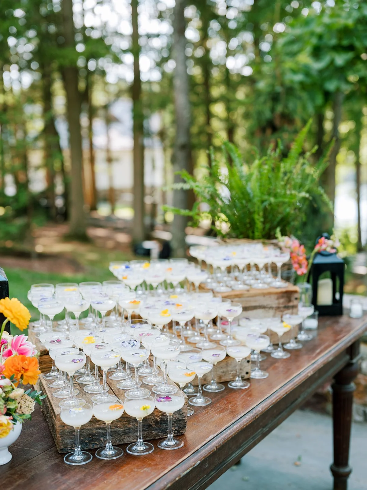 Table set with many cocktail glasses filled with white drink, decorated with flower petals, arranged outdoors on a wooden table with greenery in the background.