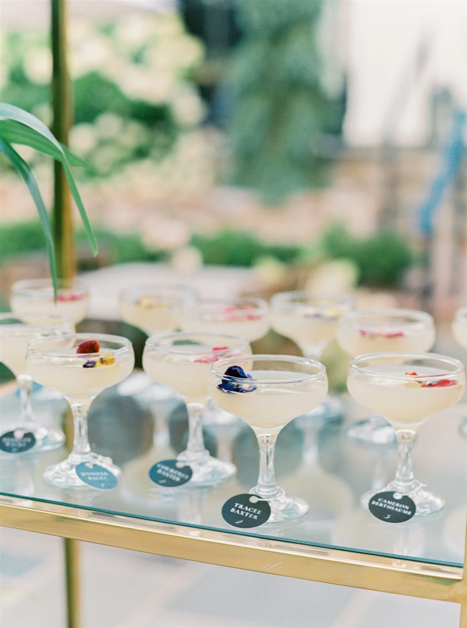 Several cocktail glasses with light-colored drinks and flower garnishes on a table with a mirror surface, blurred background of greenery and windows.