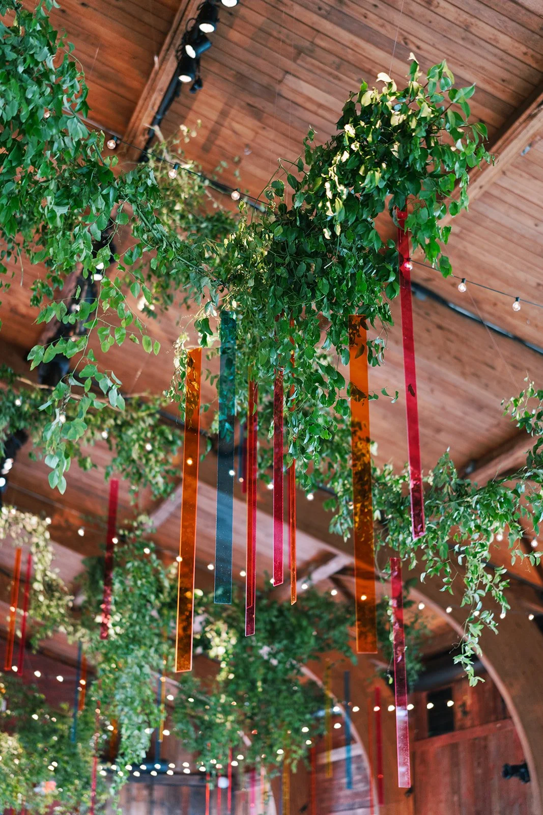 Indoor setting with ceiling covered by wooden panels, decorated with hanging green plants and colorful ribbon streamers, illuminated by small string lights.