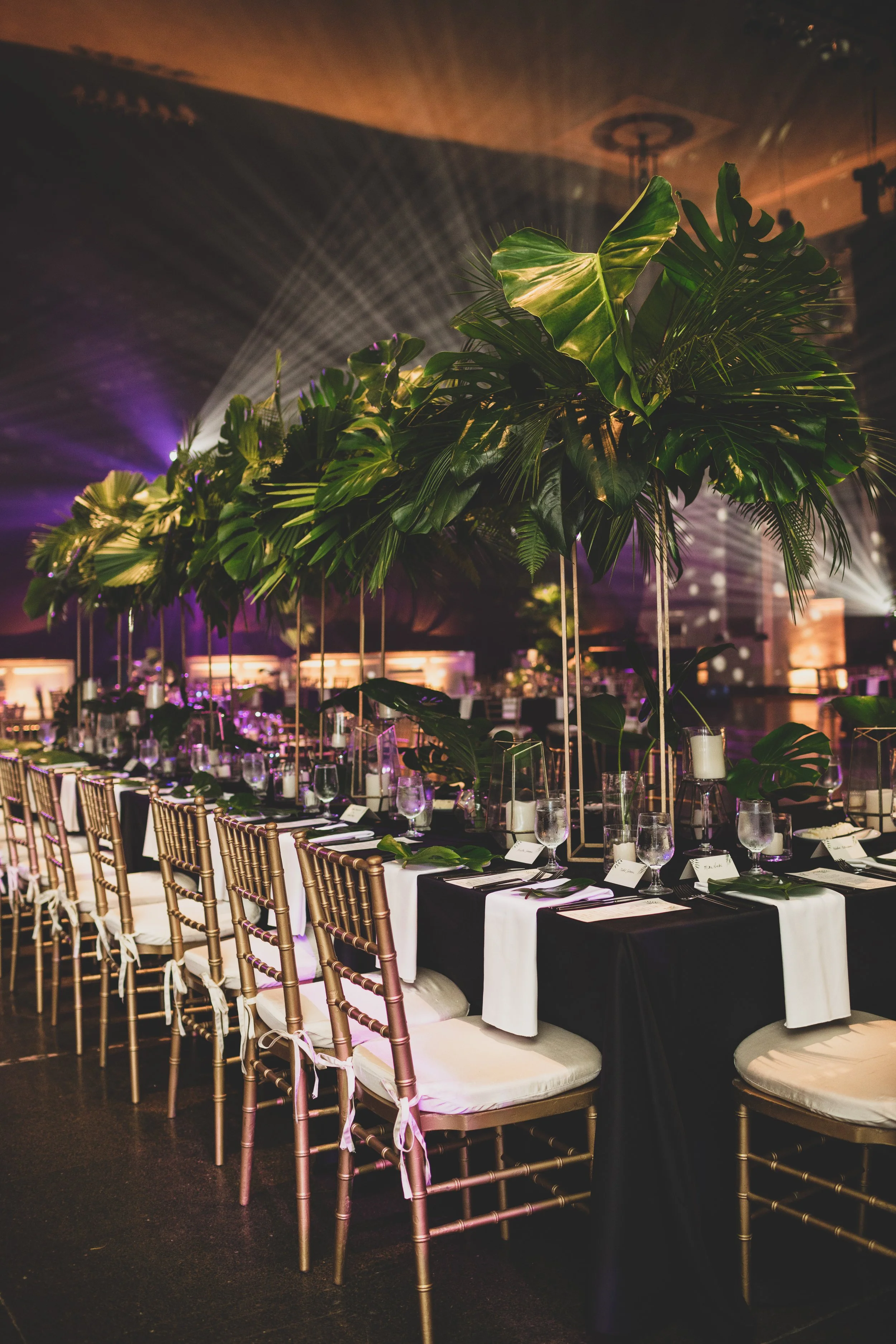 Elegant banquet table with gold chairs, set with glasses, napkins, and cutlery, decorated with large tropical green plants as centerpieces, in a dimly lit event space with colorful lighting.