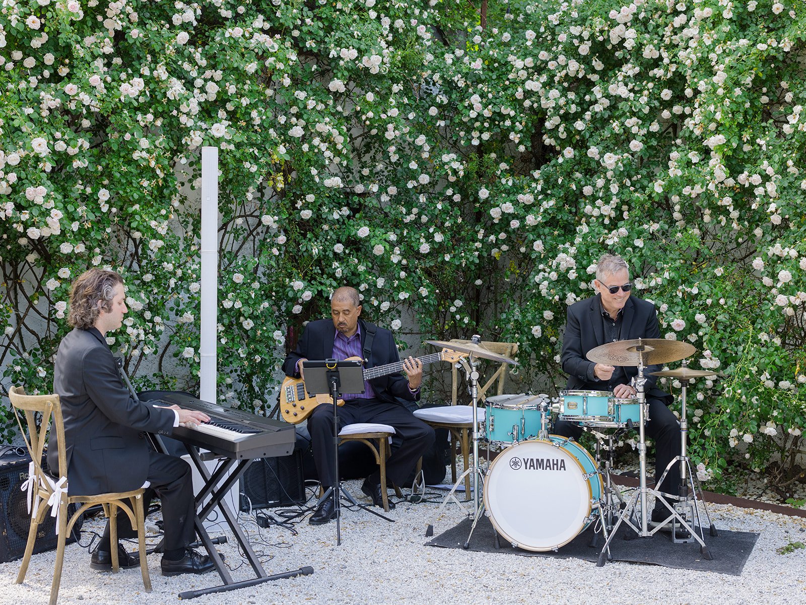 Three musicians performing outdoors, playing keyboard, bass guitar, and drums, with a backdrop of blooming white flowers and green foliage.