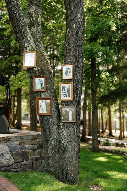 Photos and a decorative ball hanging on a tree trunk in a lush green outdoor setting.