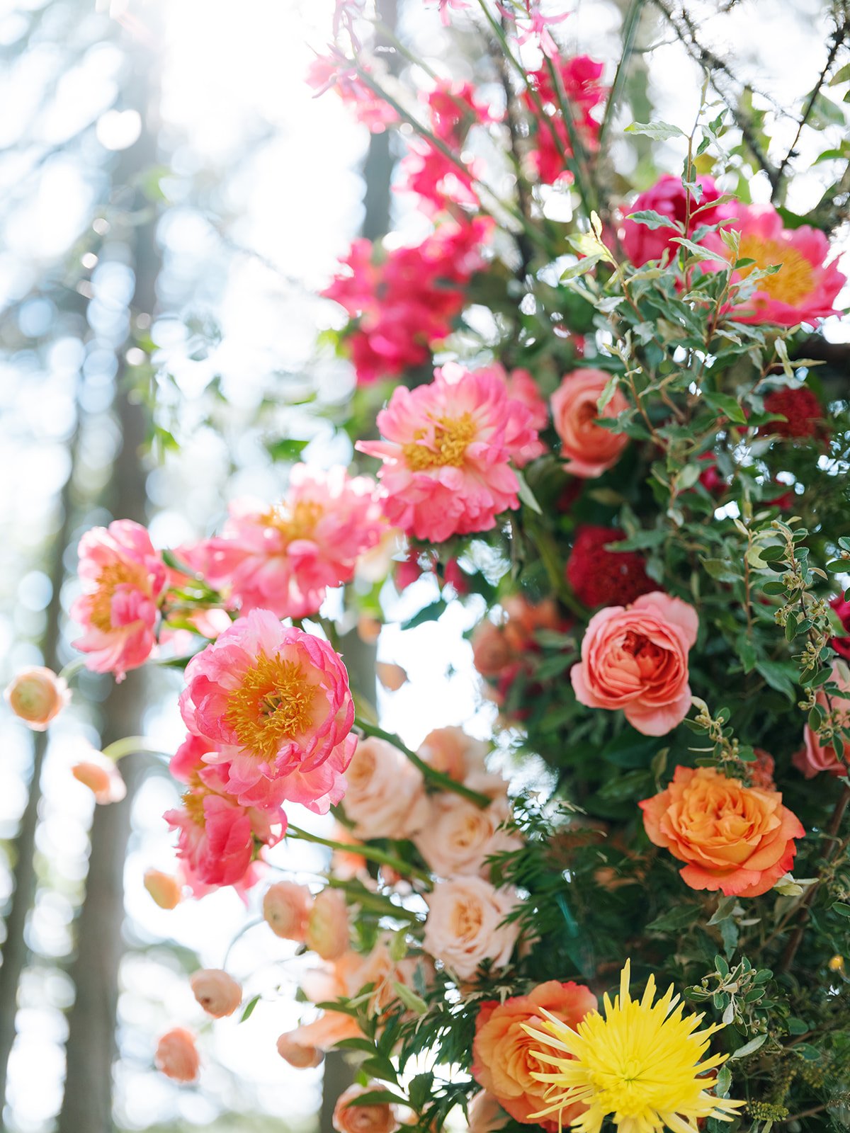 A vibrant display of various colorful flowers including pink, peach, orange, and yellow blooms against a background of blurred trees and sunlight.