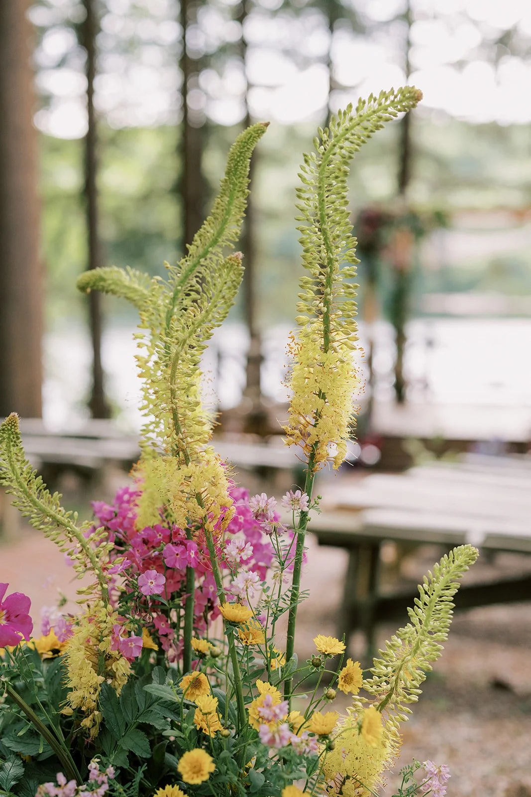 Close-up of a colorful flower arrangement with yellow, pink, and purple flowers, with tall, yellowish-green fern-like plants in the background, set outdoors in front of a blurred view of trees and a picnic table.