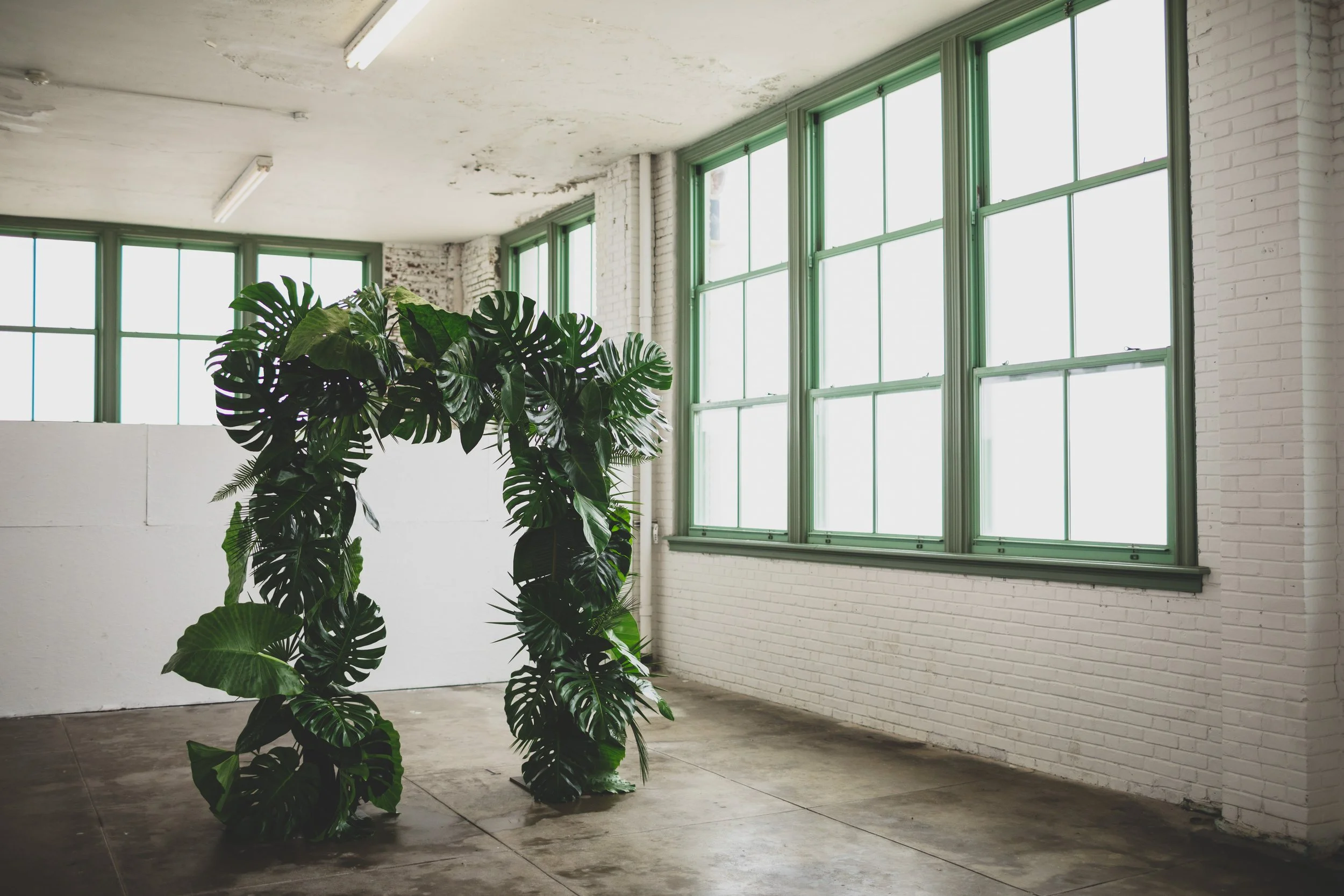 Indoor room with large green-framed windows, exposed white brick walls, concrete floor, and a large potted monstera plant.