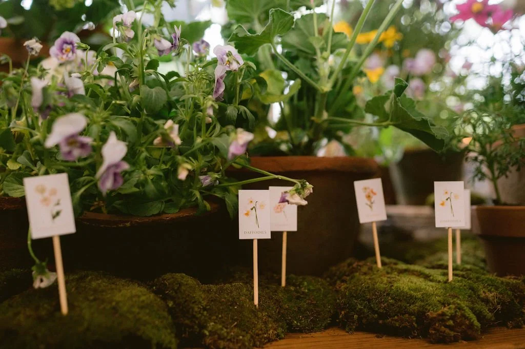 Potted plants with small signs featuring flower illustrations in front of green moss on a wooden surface.