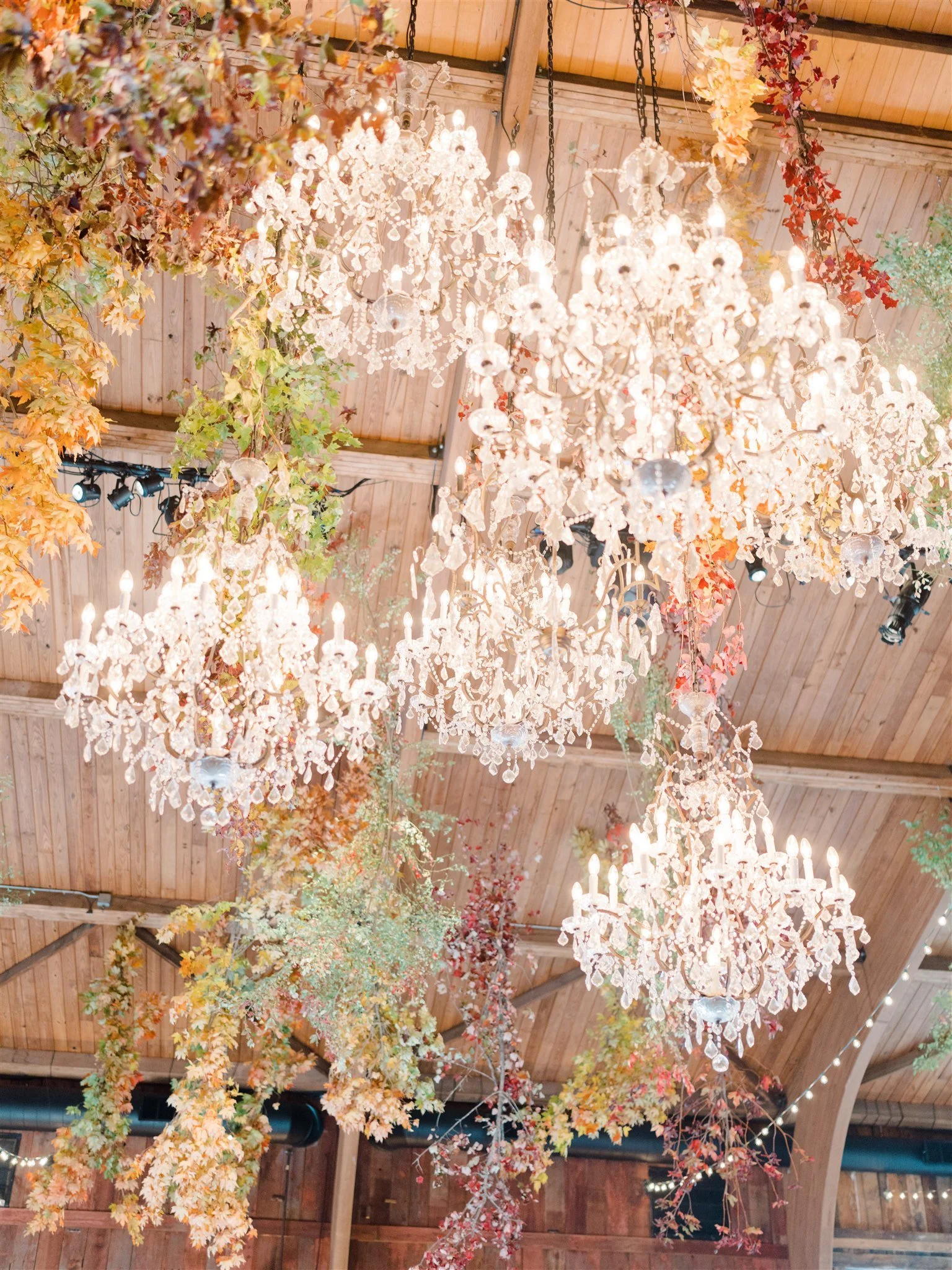 Multiple ornate chandeliers hanging from a wooden ceiling, decorated with autumn-colored leaves and foliage, creating a festive and elegant atmosphere.