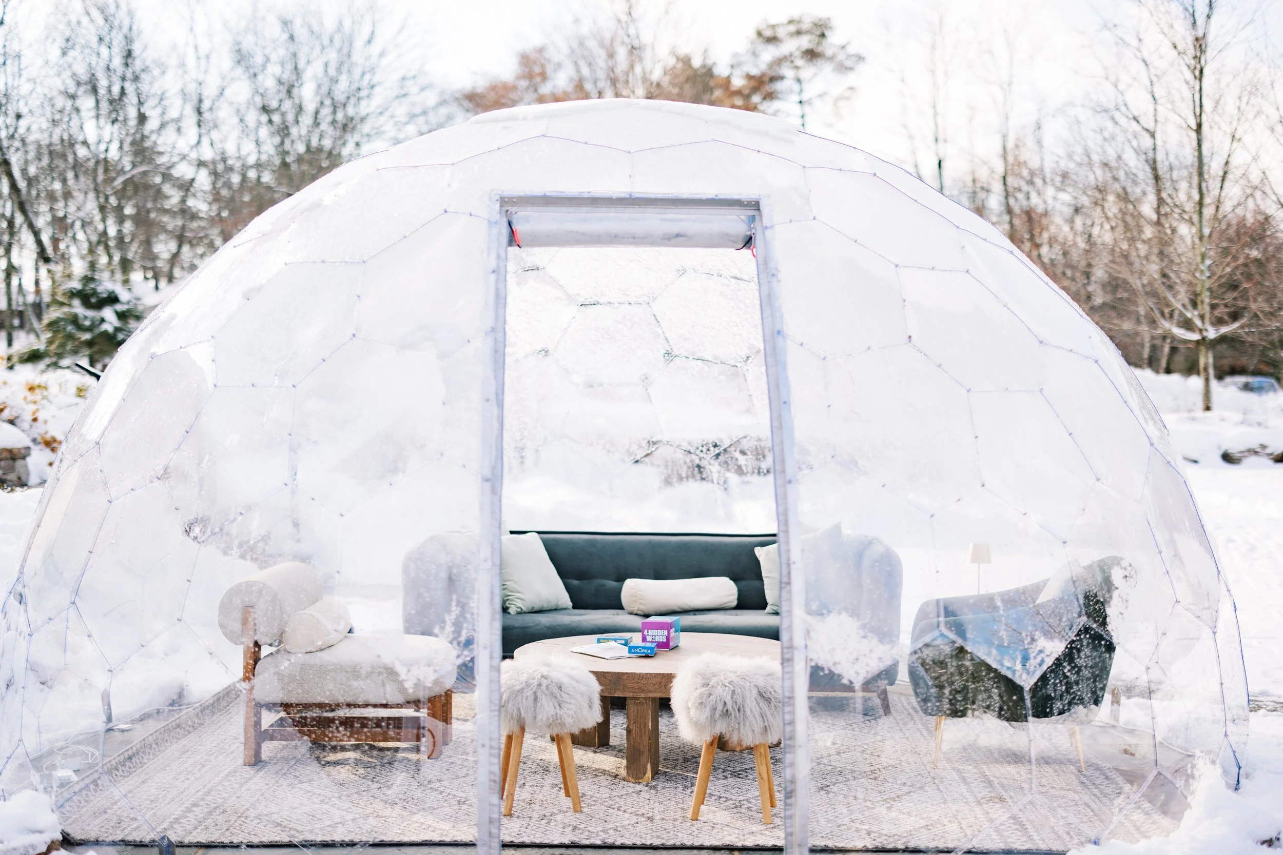 A cozy living room inside a clear igloo in a snowy outdoor setting, with a green sofa, armchair, fluffy stools, a wooden coffee table, and decorative pillows.