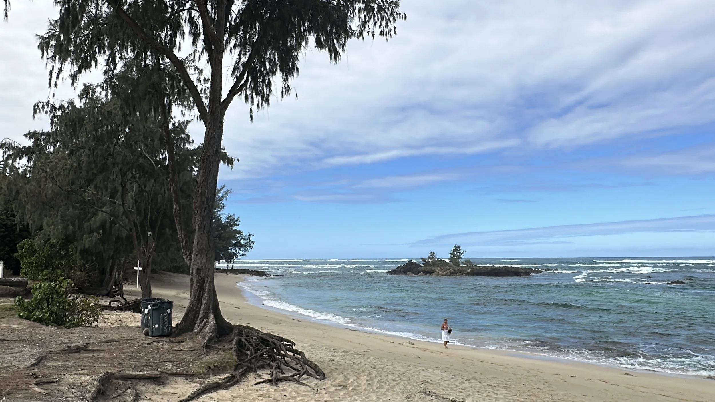 A beach scene with trees in the foreground, a sandy shoreline, and the ocean with waves and a small rocky island in the background under a partly cloudy sky.