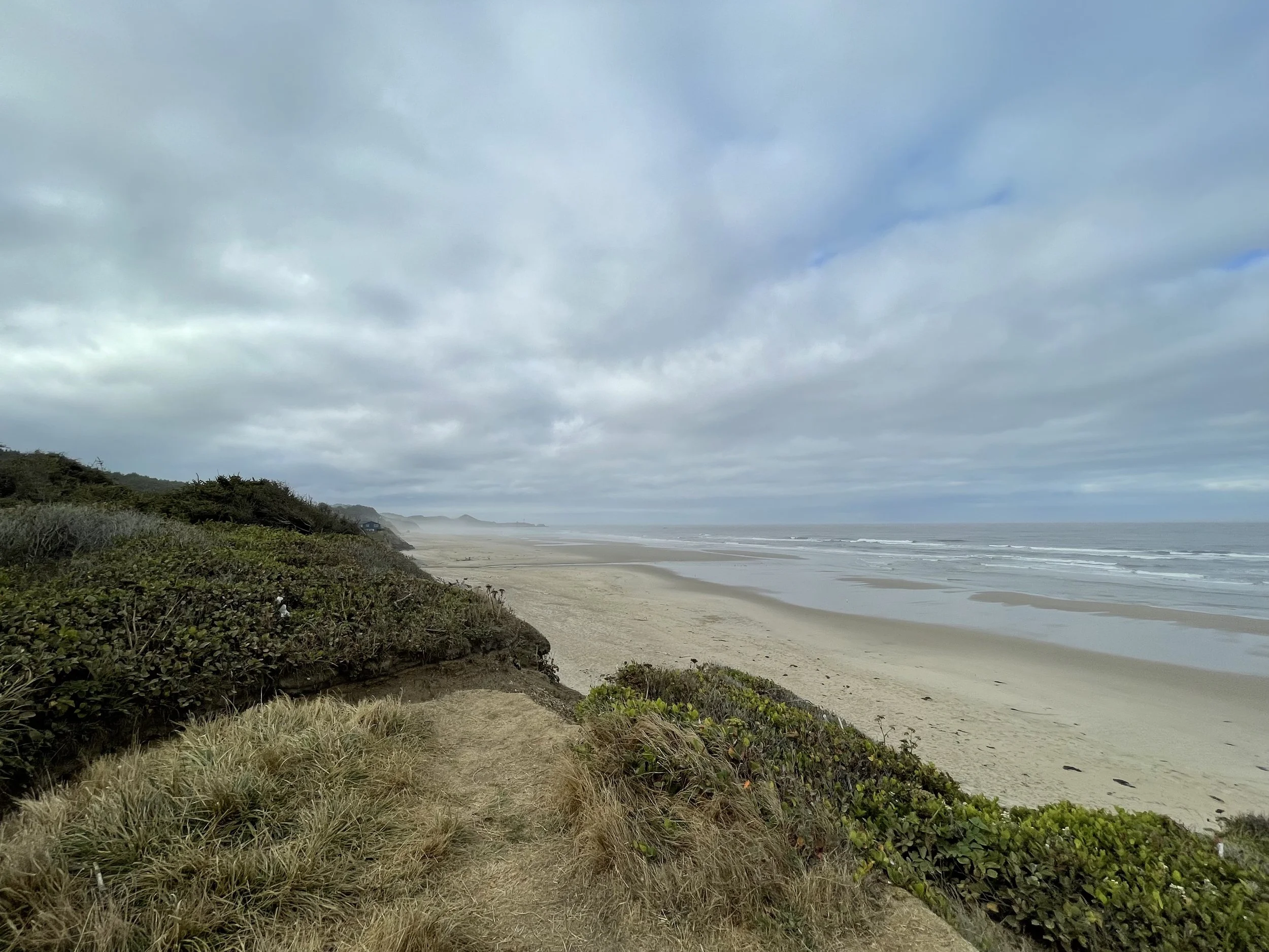 A coastal scene with overcast skies, a sandy beach, and green shrubbery along a path leading to the shoreline.