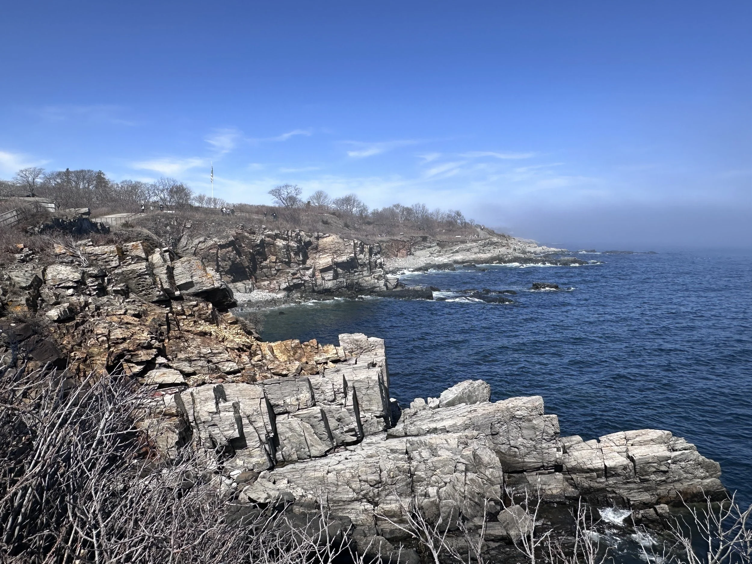 Rocky coastline with dry bushes in the foreground, cliffs on the shore, and a blue sky with sparse clouds in the background.
