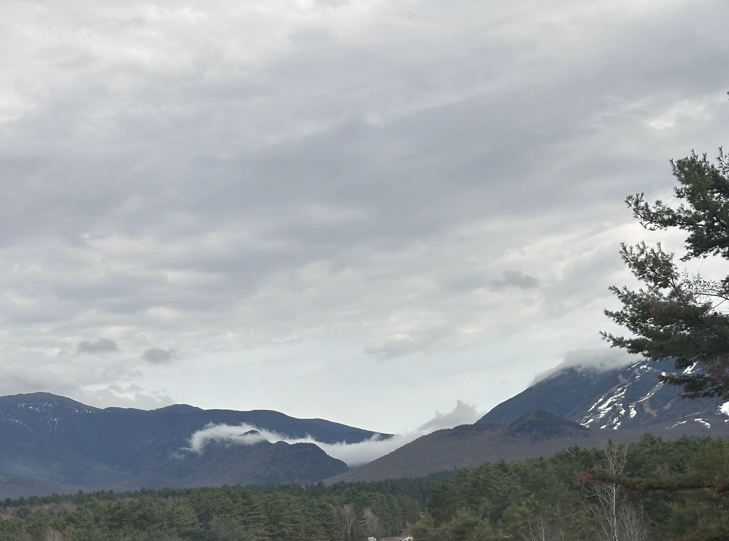 Mountain landscape with cloudy sky, green forested valley, and snow-capped peaks in the distance.