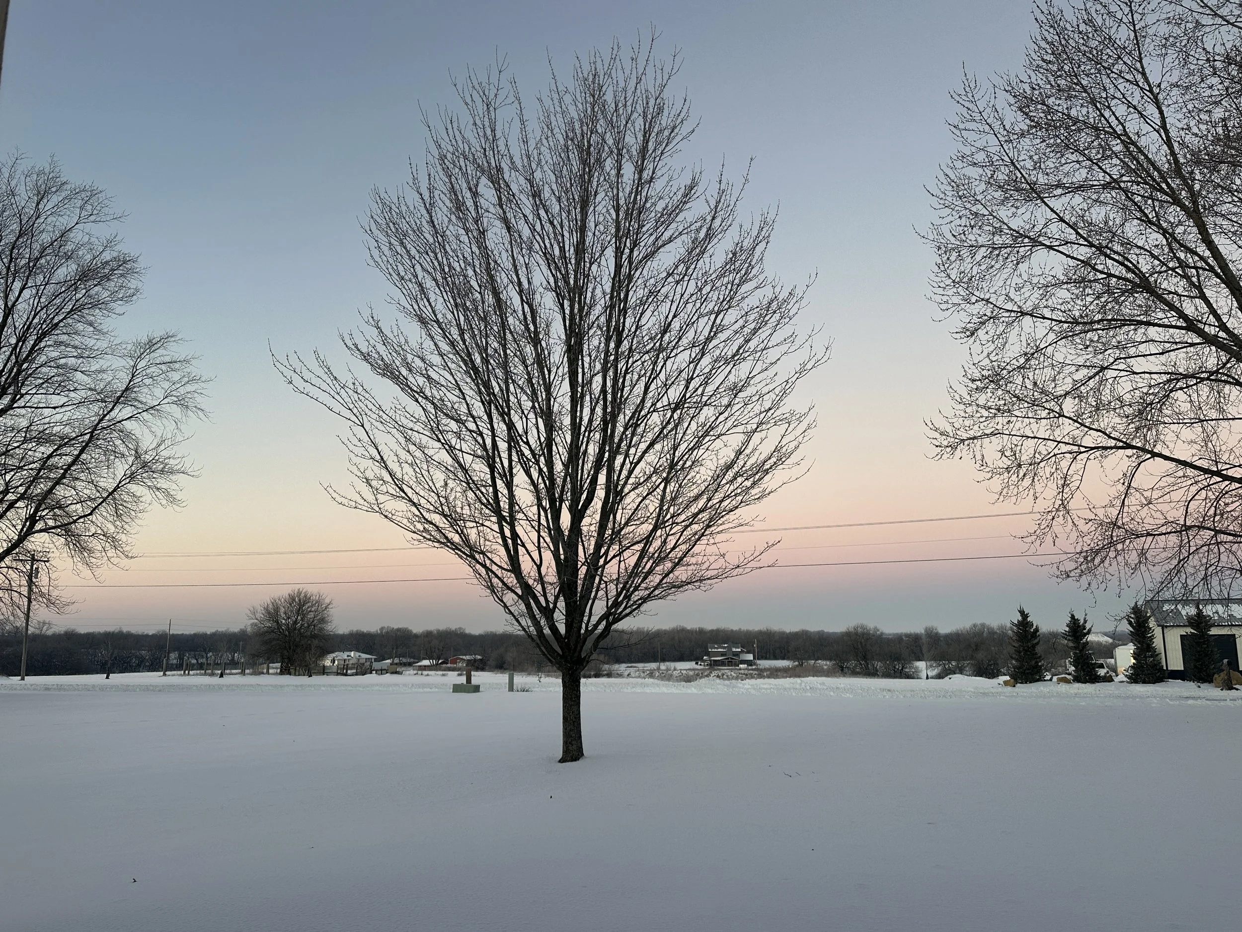 A leafless tree stands in a snow-covered field during sunset, with silhouettes of other trees and houses in the background.