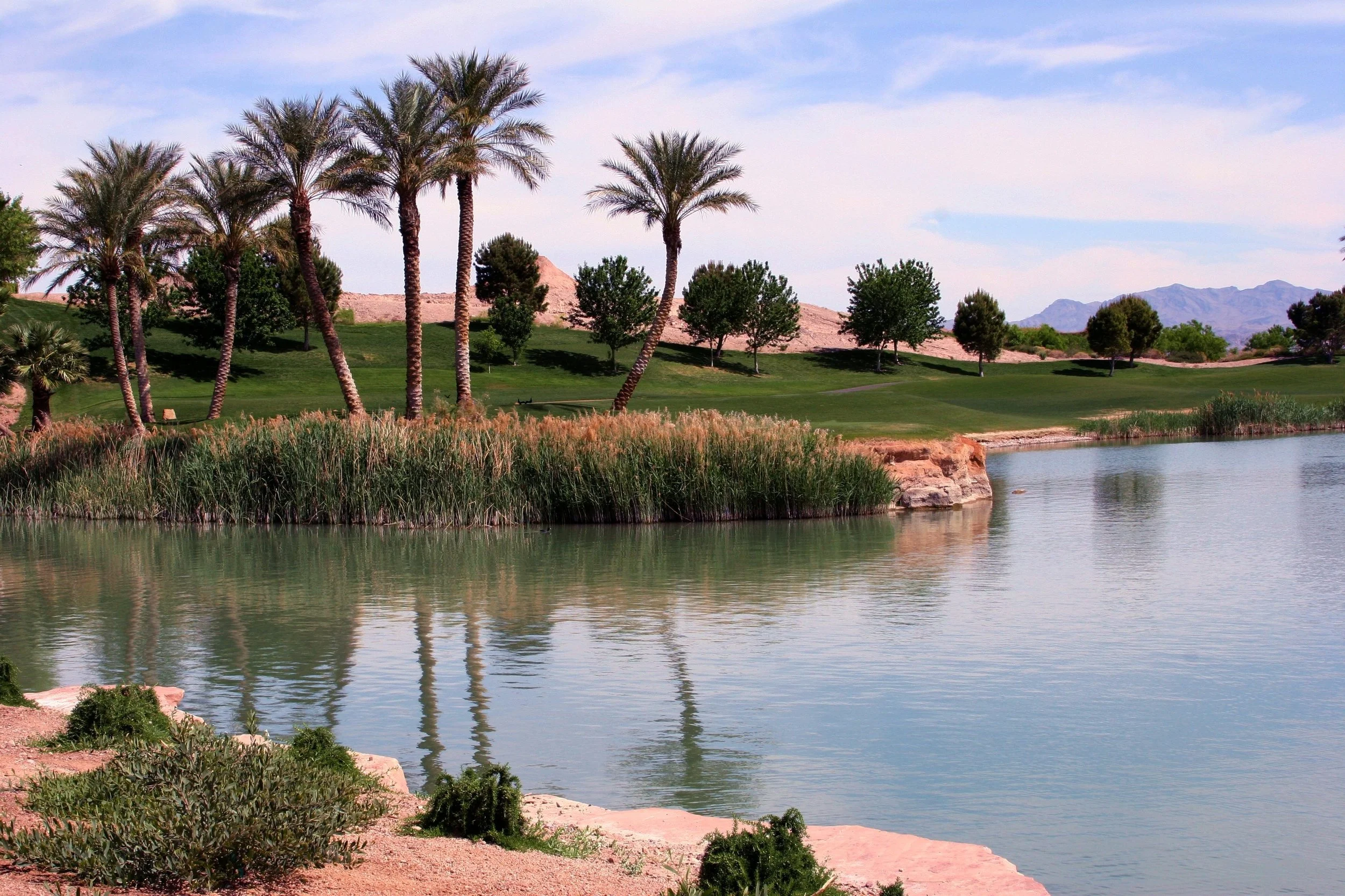 A scenic view of a golf course with a pond in the foreground, surrounded by tall grasses and bushes. In the background, there are palm trees and other greenery with distant mountains under a partly cloudy sky.
