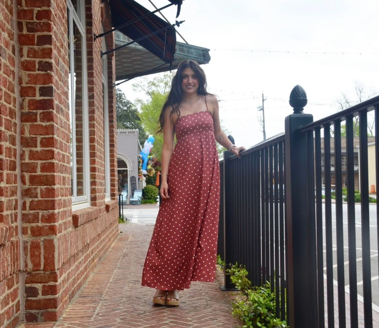Brown Polka Dot Dress