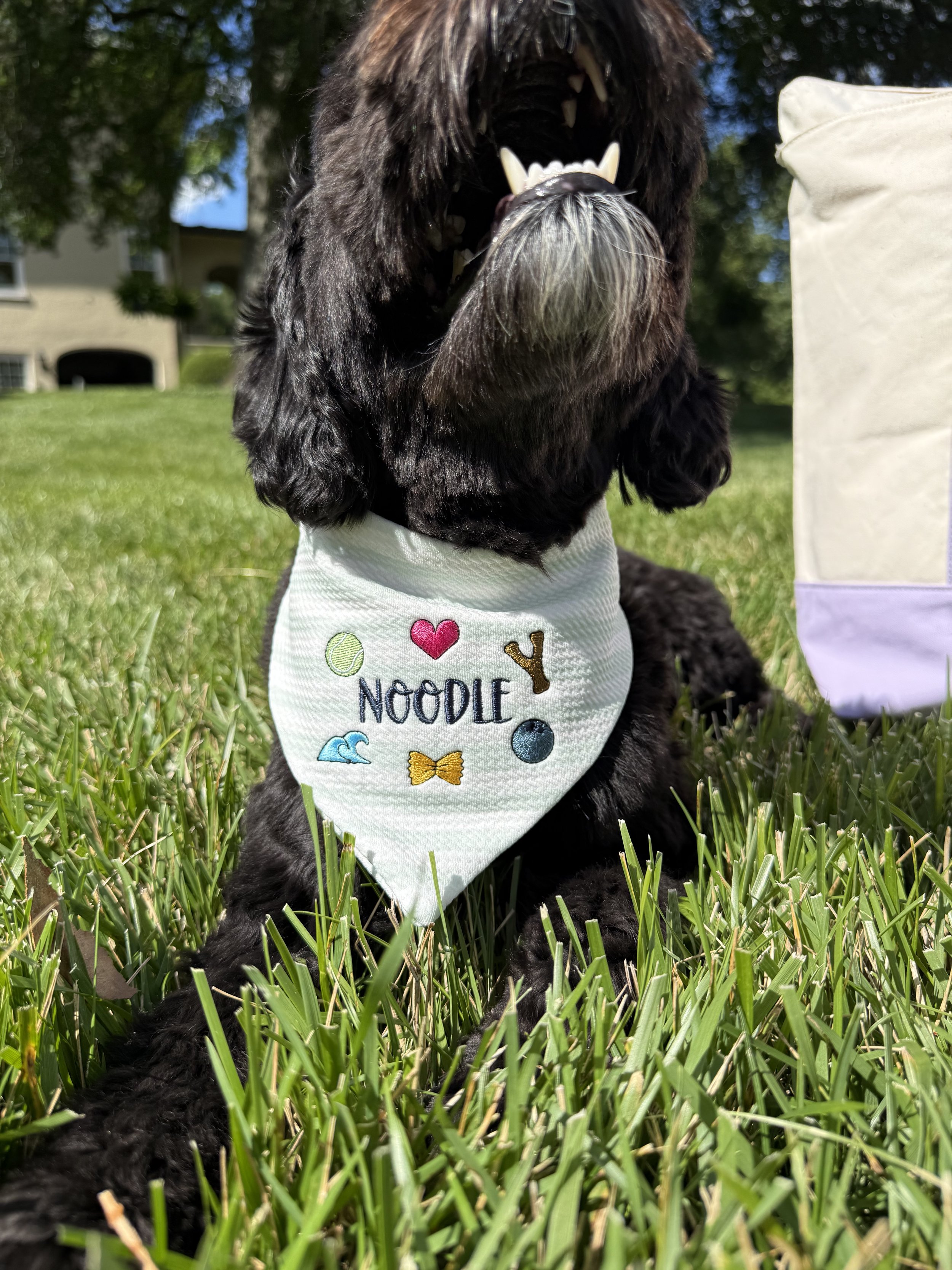 Favorite Things Pet Bandana