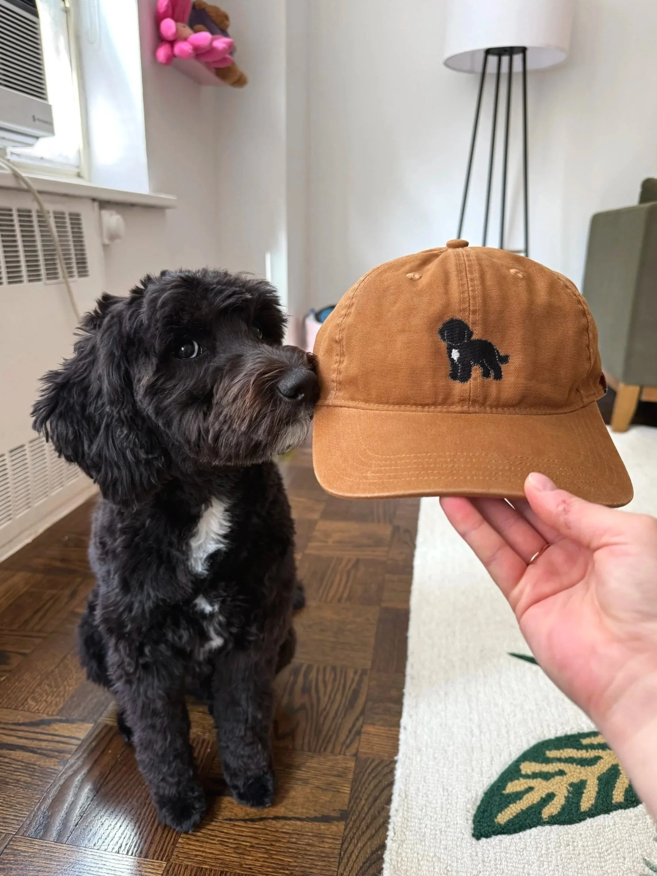 Custom Pet Hat
