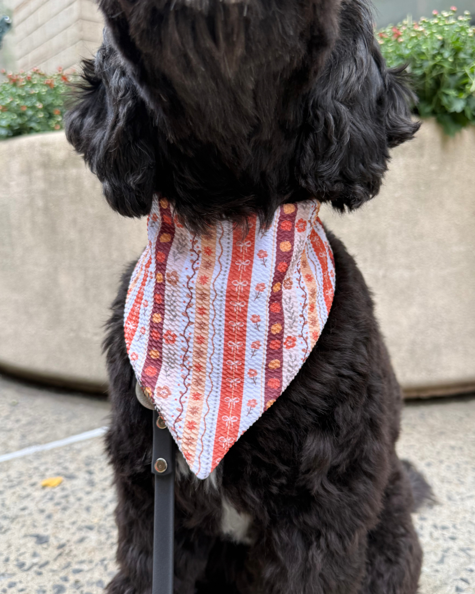 Happy Fall Bandana