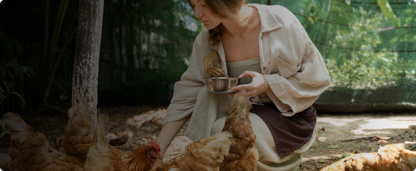 The Godmother of Rockwell Farm: Introducing New Pullets Without Starting a Mafia War