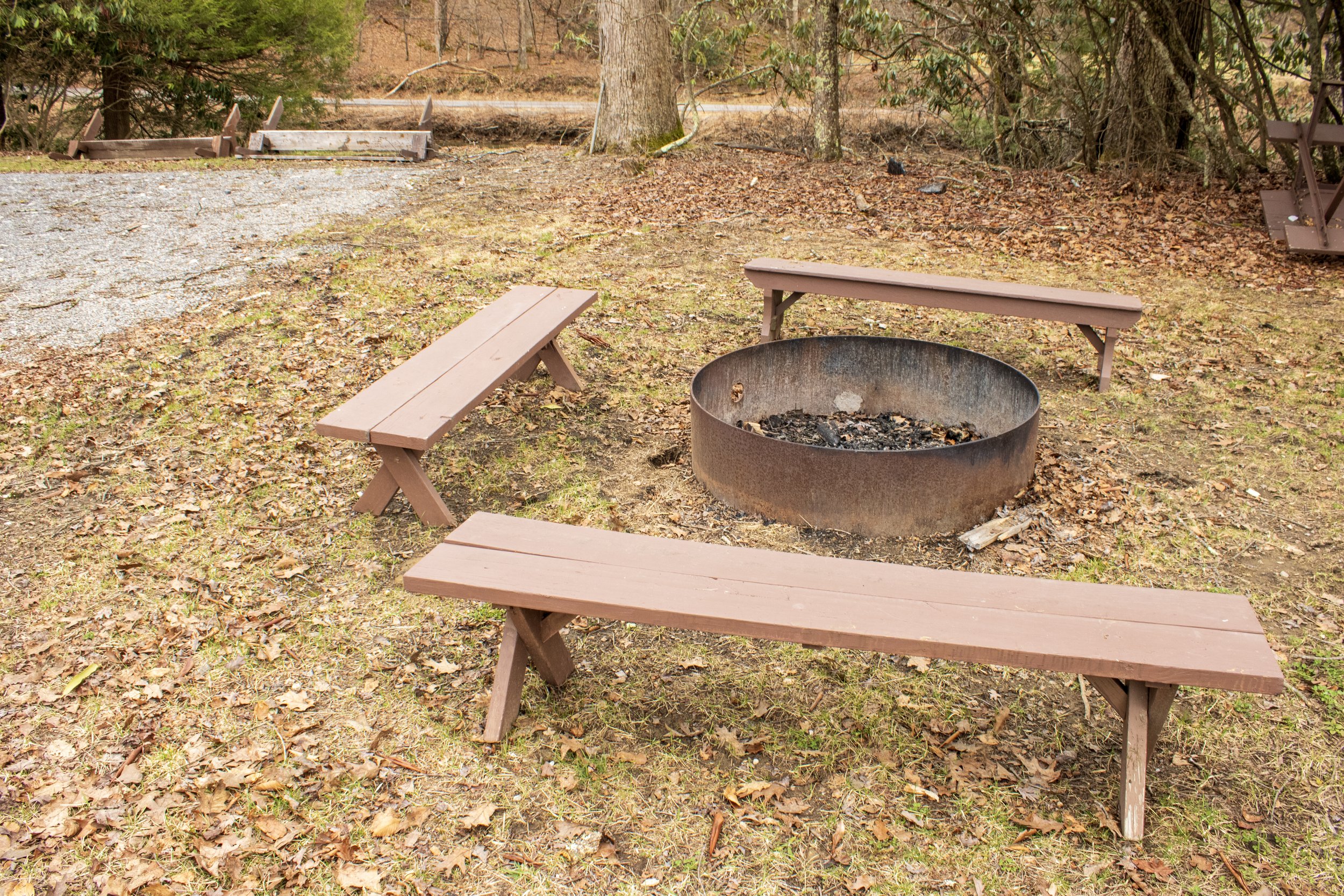 1 bed cabin fire pit.JPG