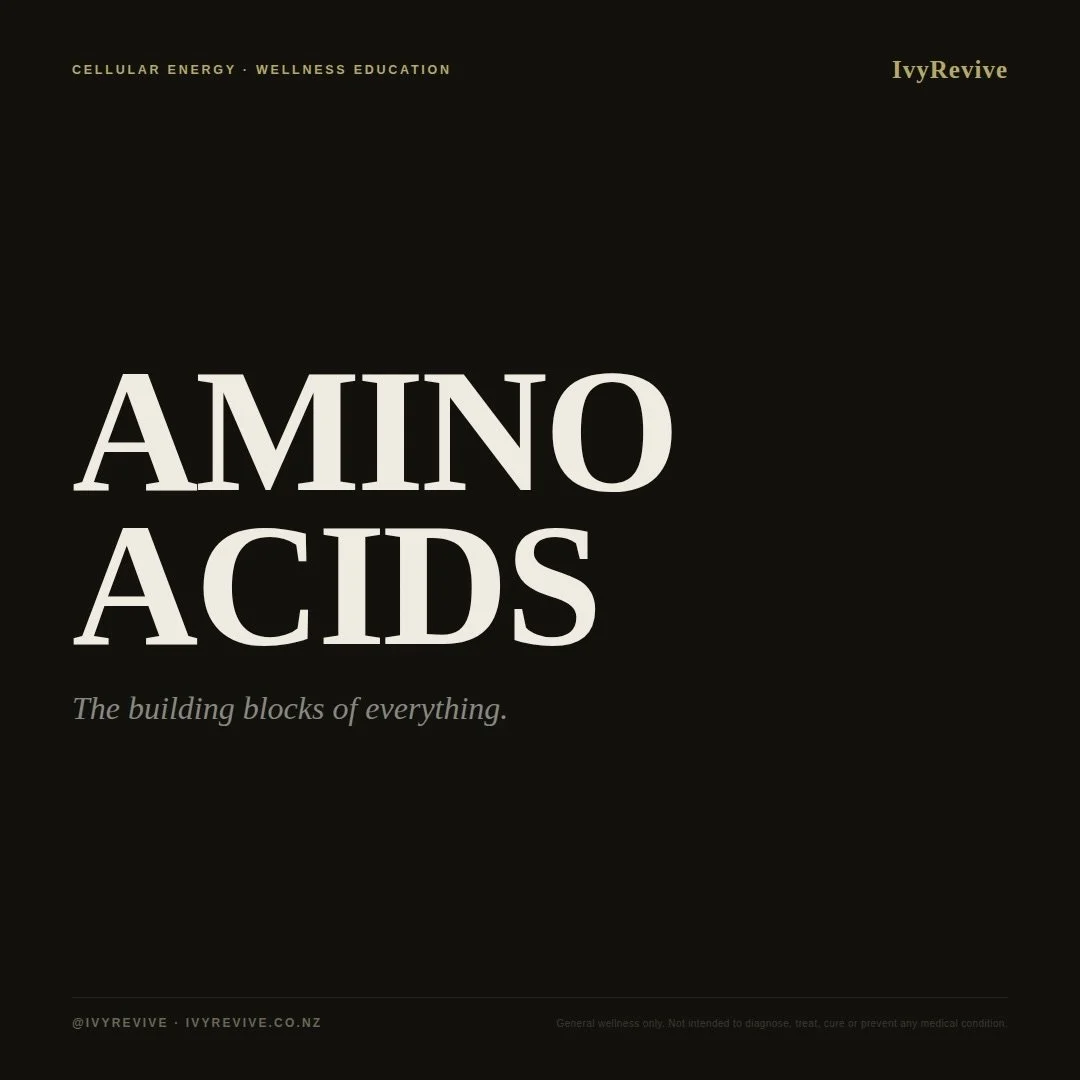 AMINO ACIDS
You&rsquo;ve probably heard of protein, but amino acids are what protein actually breaks down into. There are 20 of them in total, and your body uses them to build and repair muscles, make hormones, support your immune system, and even re