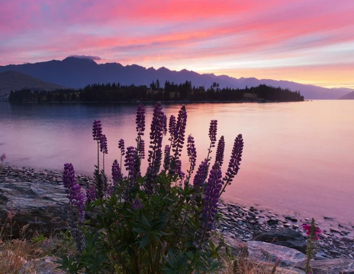 The Wakitipu Glow