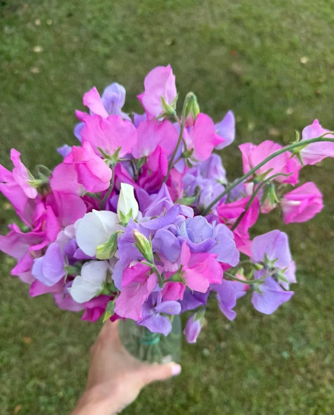Can&rsquo;t you just smell these beauties? 

#localflowers #flowers #localflowersarethebest #savannah #buylocal