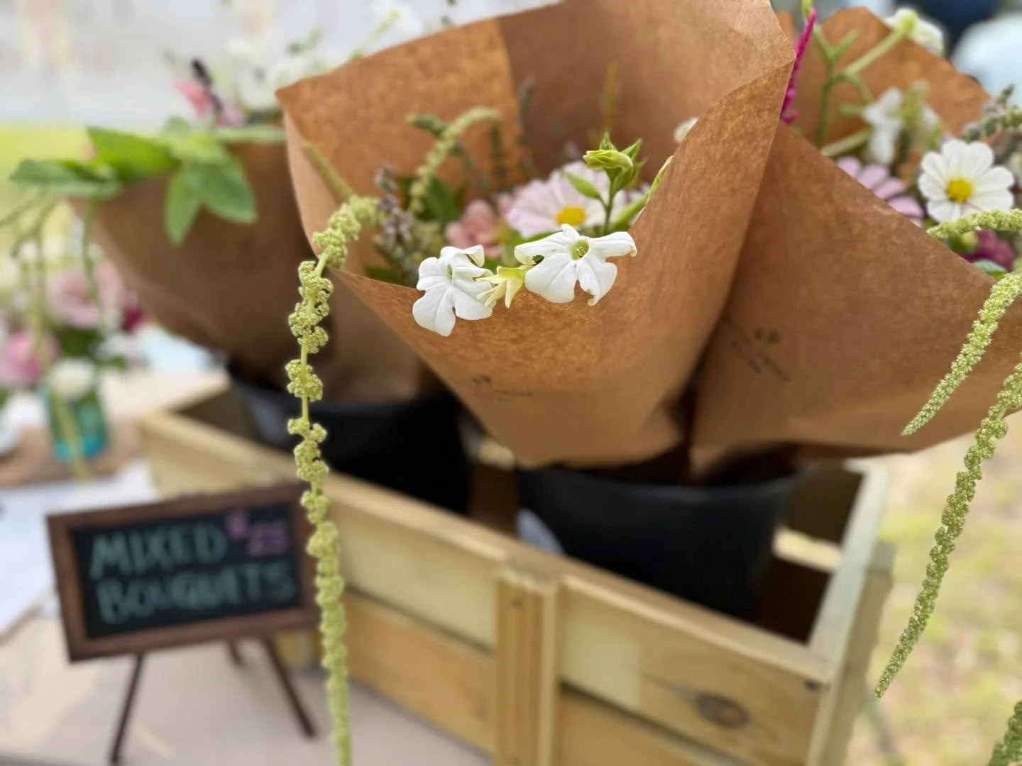 These were harvested yesterday and could be on your table today! 🌸

Come see us, now until noon at the Islands Market. 🌸 

#localflowers #localflowersarethebest #buylocal #flowers #savannah