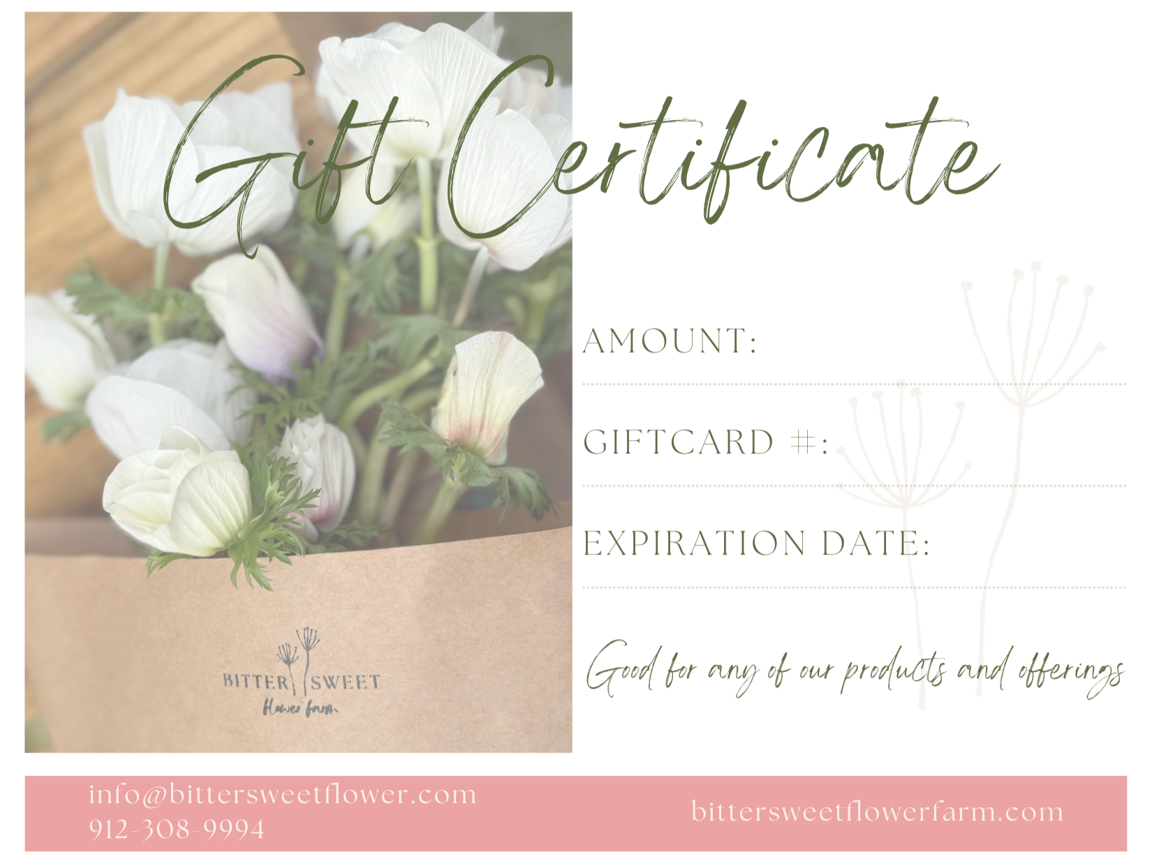 Copy%2Bof%2BGift%2BCertificate.png
