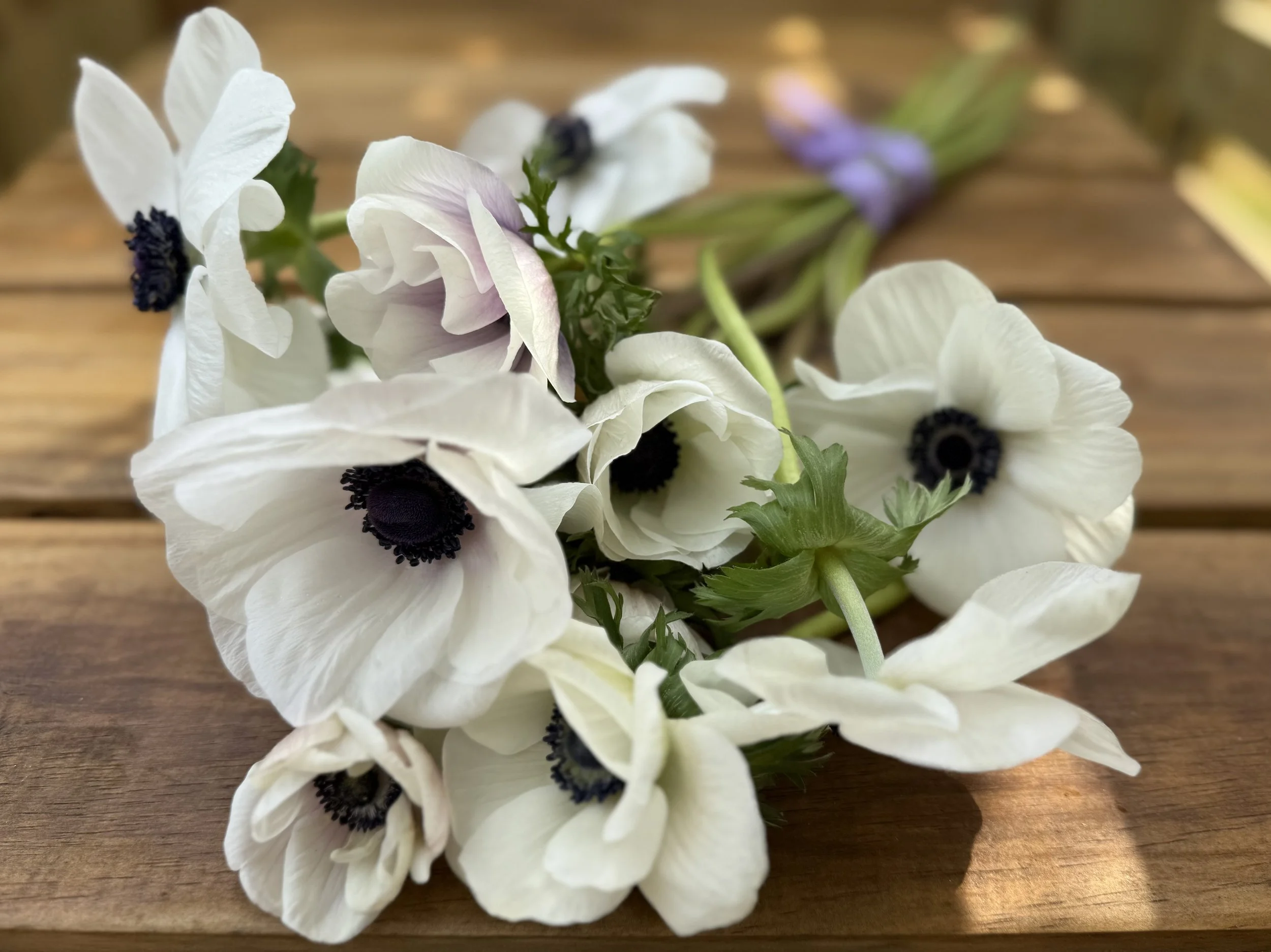 Anemone Bouquet