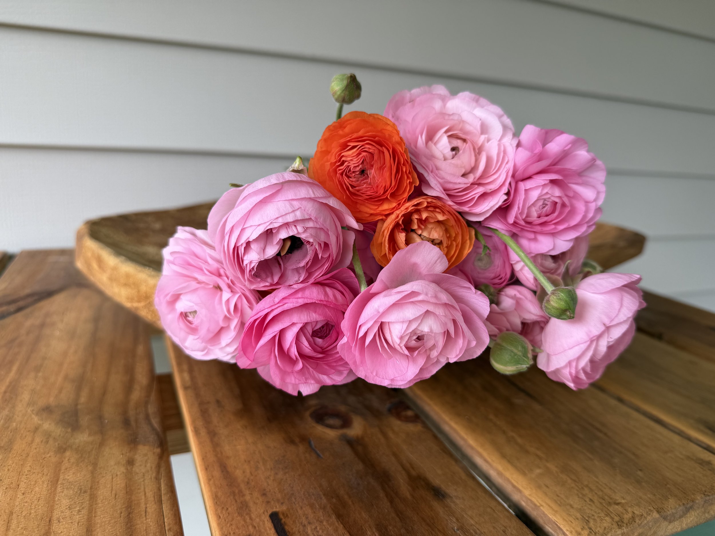 ranunculus-bouquet.jpeg