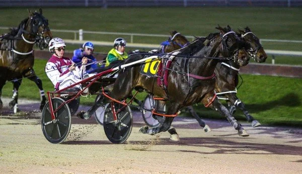 harness racing.jpg