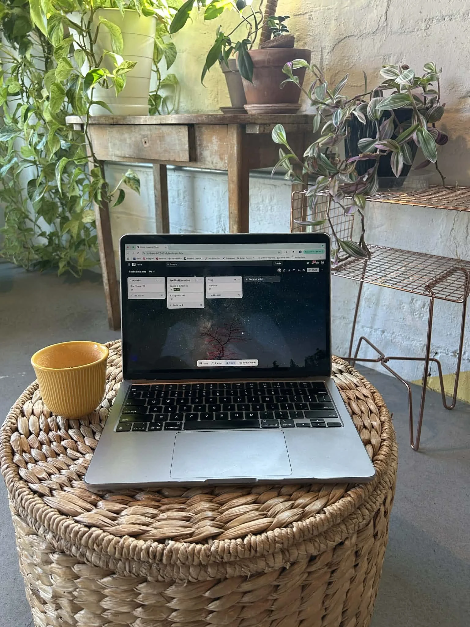 Workspace of Emily Mendez, mental health writer, featuring laptop and coffee in a cozy plant-filled setting.