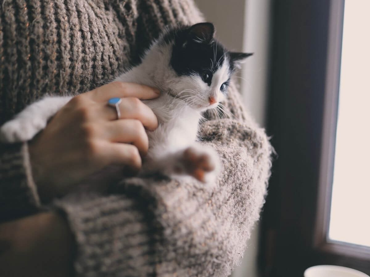 Bipolar Disorder Seasonal Changes: Triggers, Signs, Coping&nbsp;