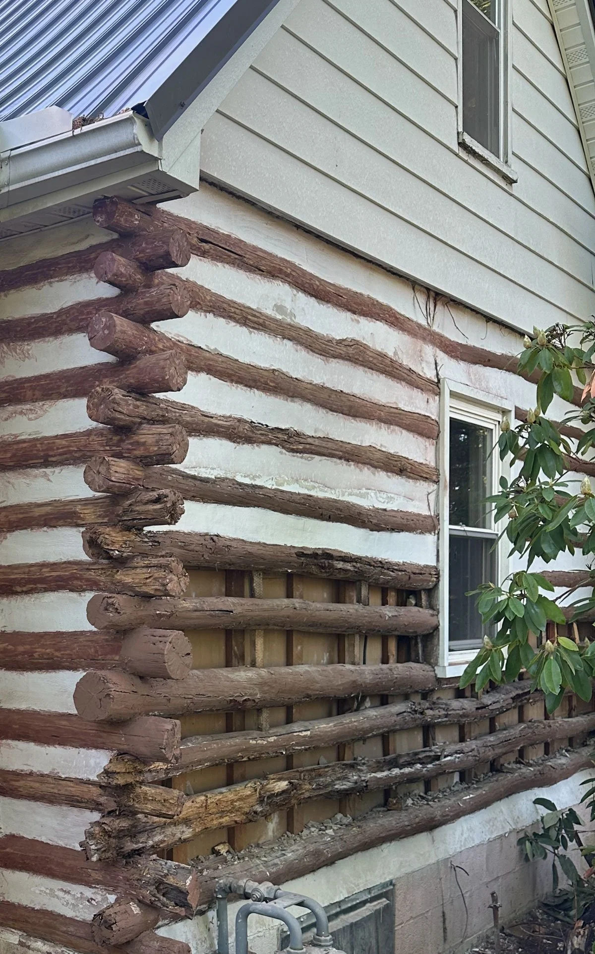 Side of a house under renovation with exterior walls partially stripped to reveal logs and framing, with a window and greenery.