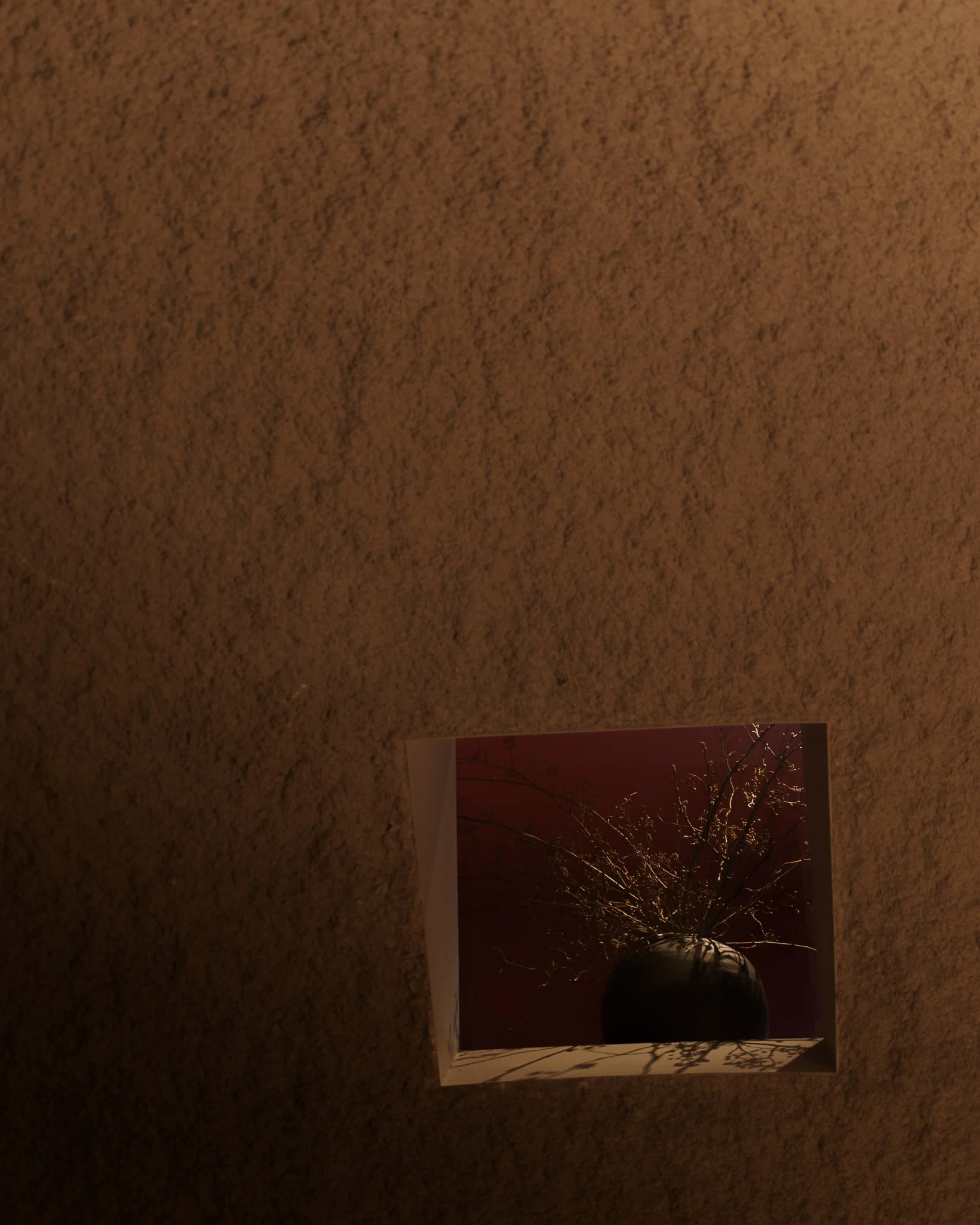 A printed photograph of a tree with illuminated branches against a reddish sky at night, placed on a textured surface.