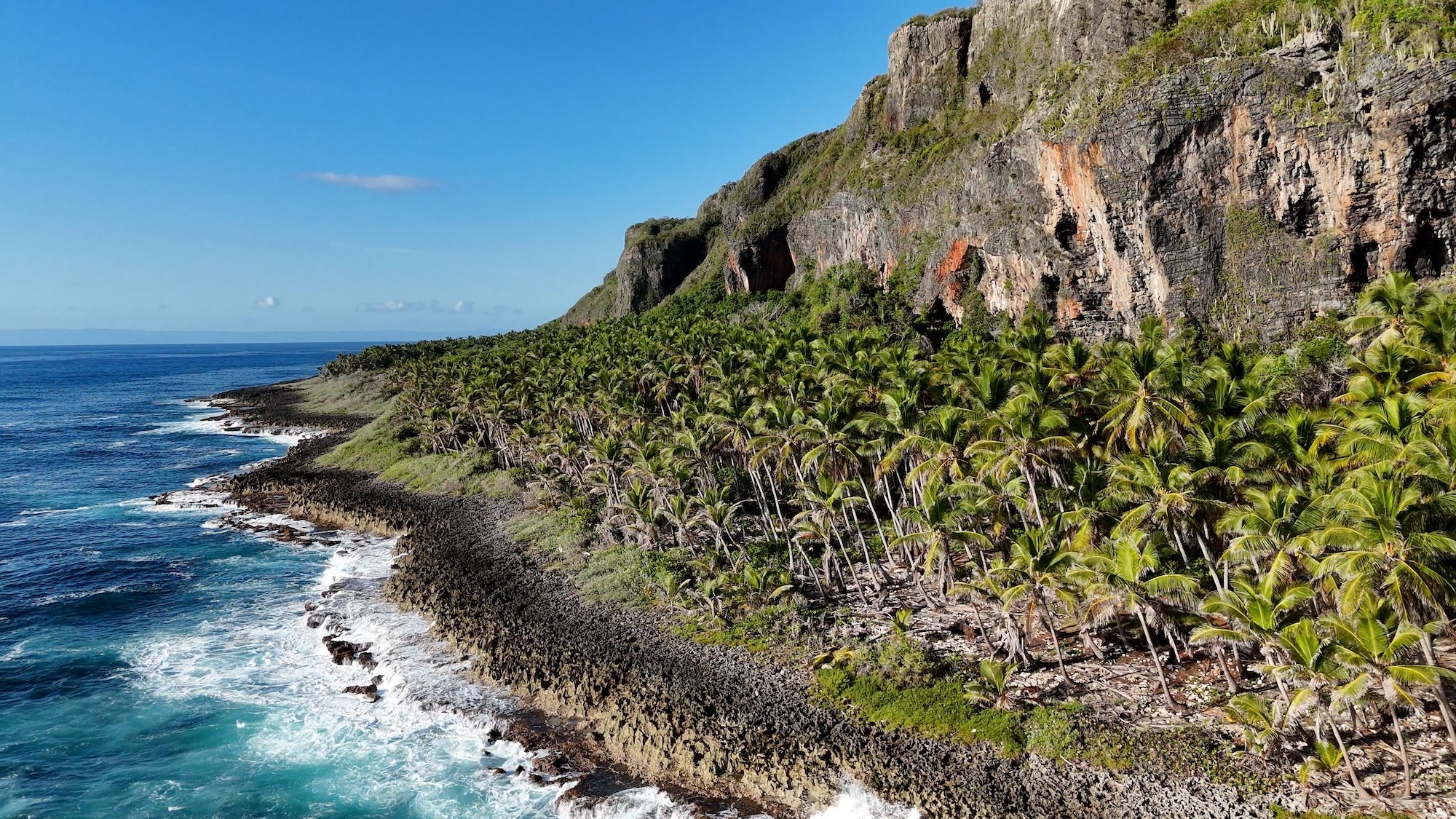 Website vid.00_00_00_00.Still001.jpg