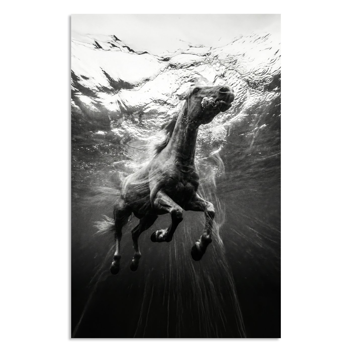 Lifestyle-1x1 WBG.jpg