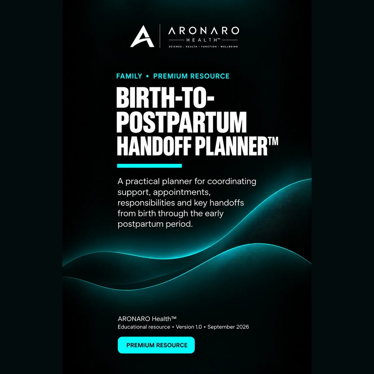 08_Birth_to_Postpartum_Handoff_Planner_PRODUCT_1200x1200.jpg