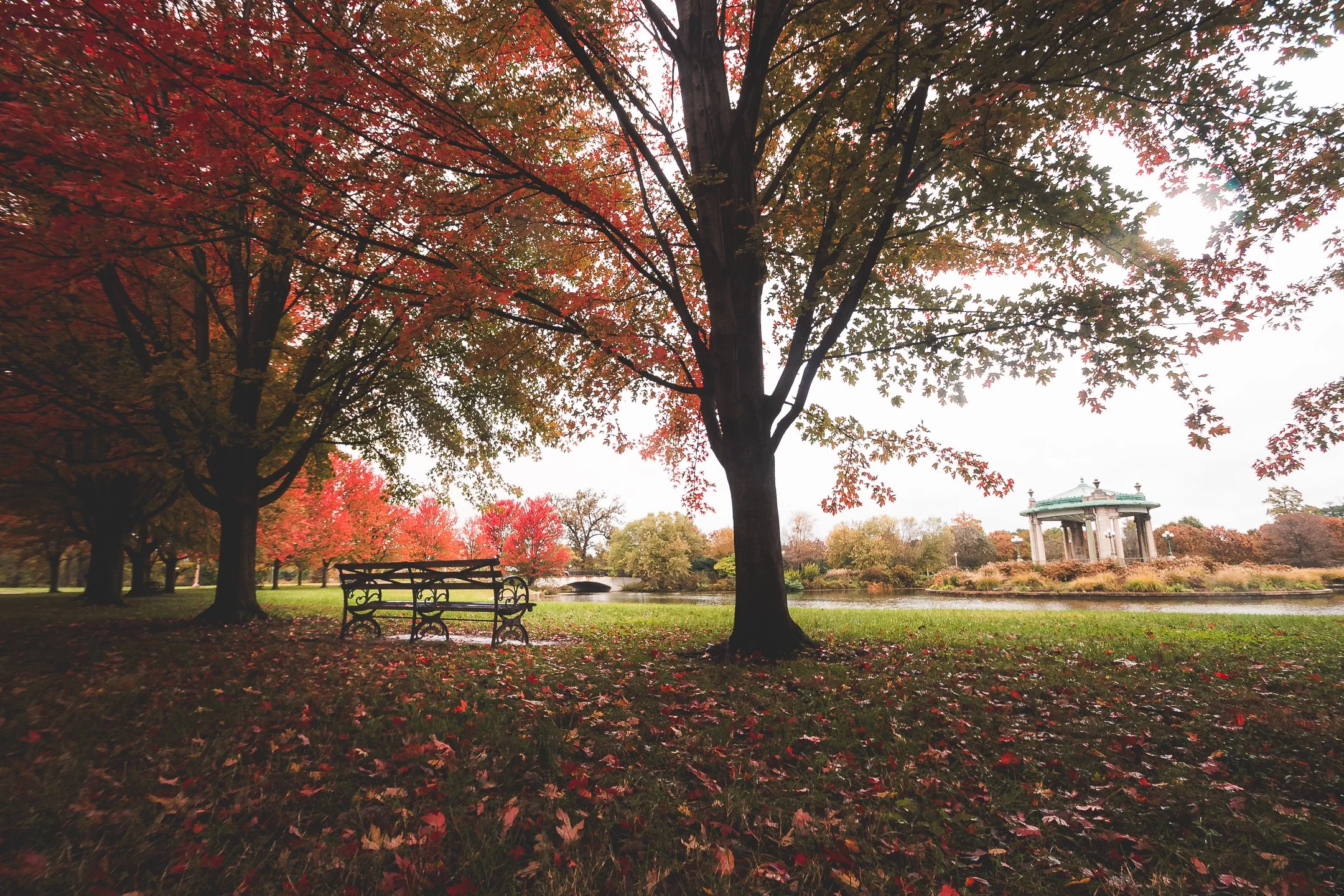 Forest Park, St. Louis MO