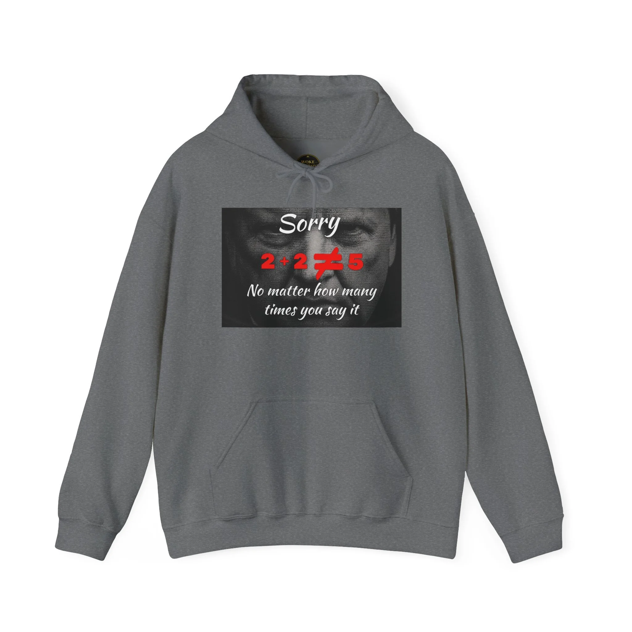 2+2≠5 Got It? Hoodie